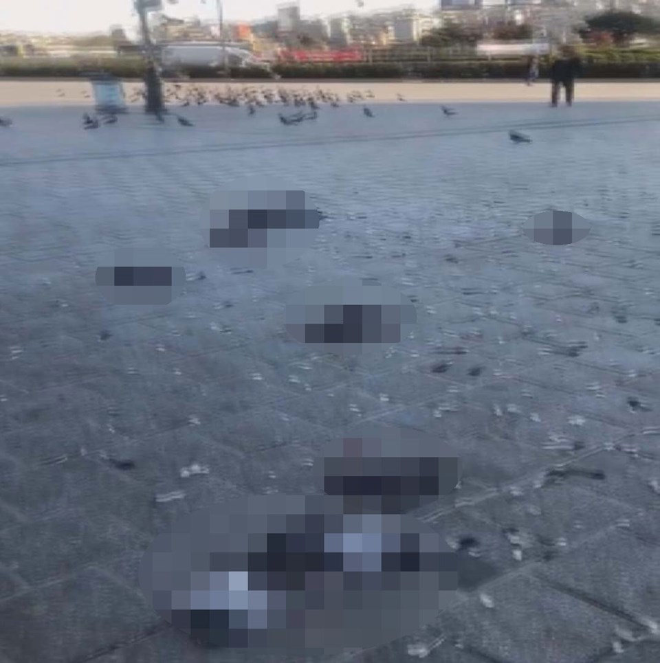 Eminönü Meydanı'nda otomobiliyle güvercinleri ezdi - 1