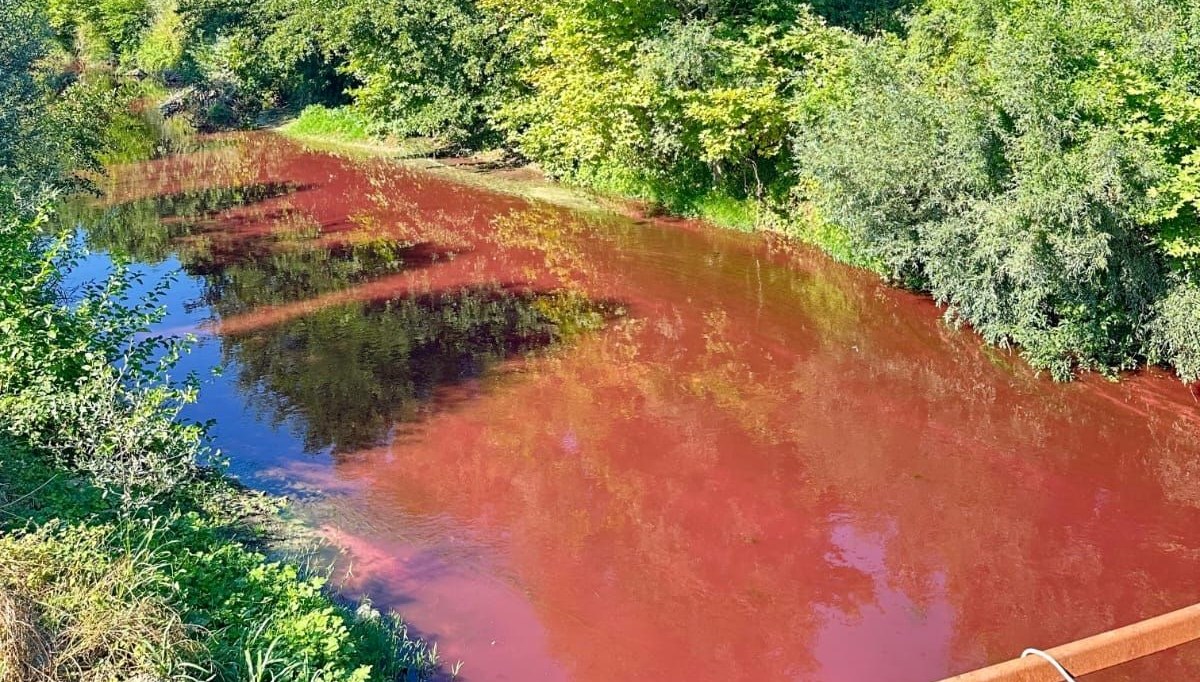 Mudurnu Çayı'nda kirlilik: İnceleme başlatıldı