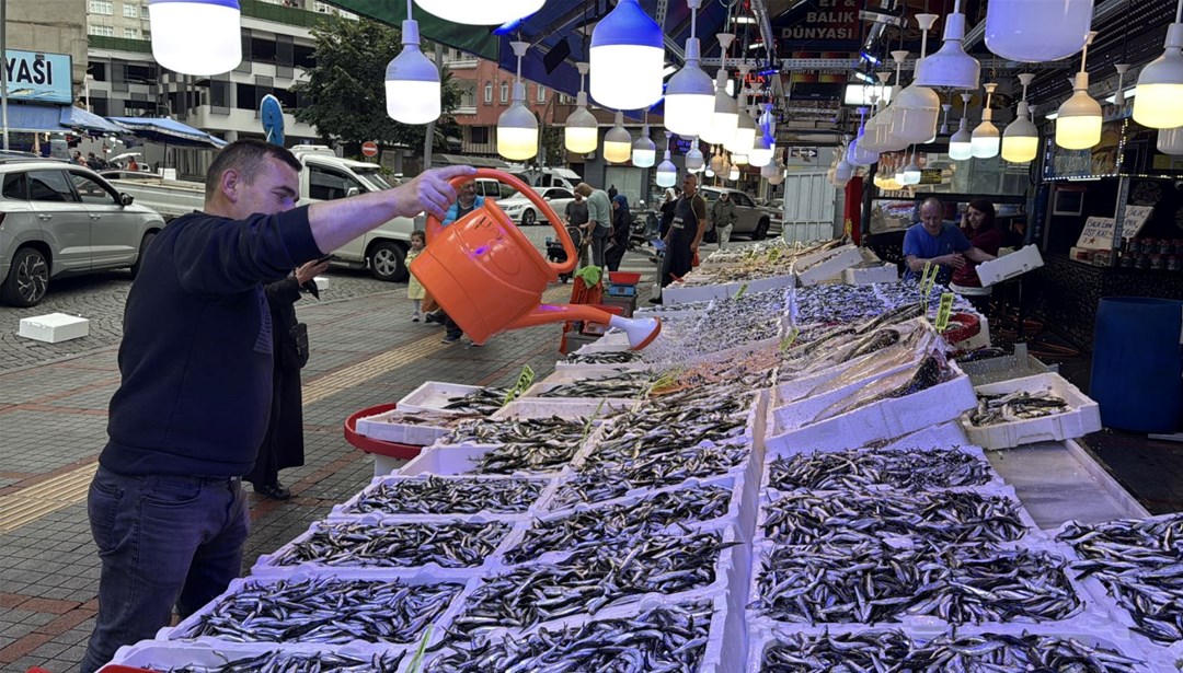 Bu sezon tezgahta bol: En fazla ilgi gören balık