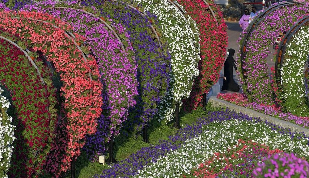 Dünyanın en büyük çiçek bahçesi Dubai'de açıldı - 9