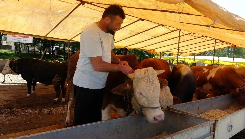 Hayvan pazarları kapatıldı