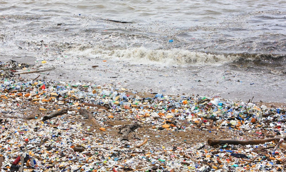 Yeni ölümcül salgınlara deniz ve okyanuslardaki plastik kirliliği neden olacak - 2