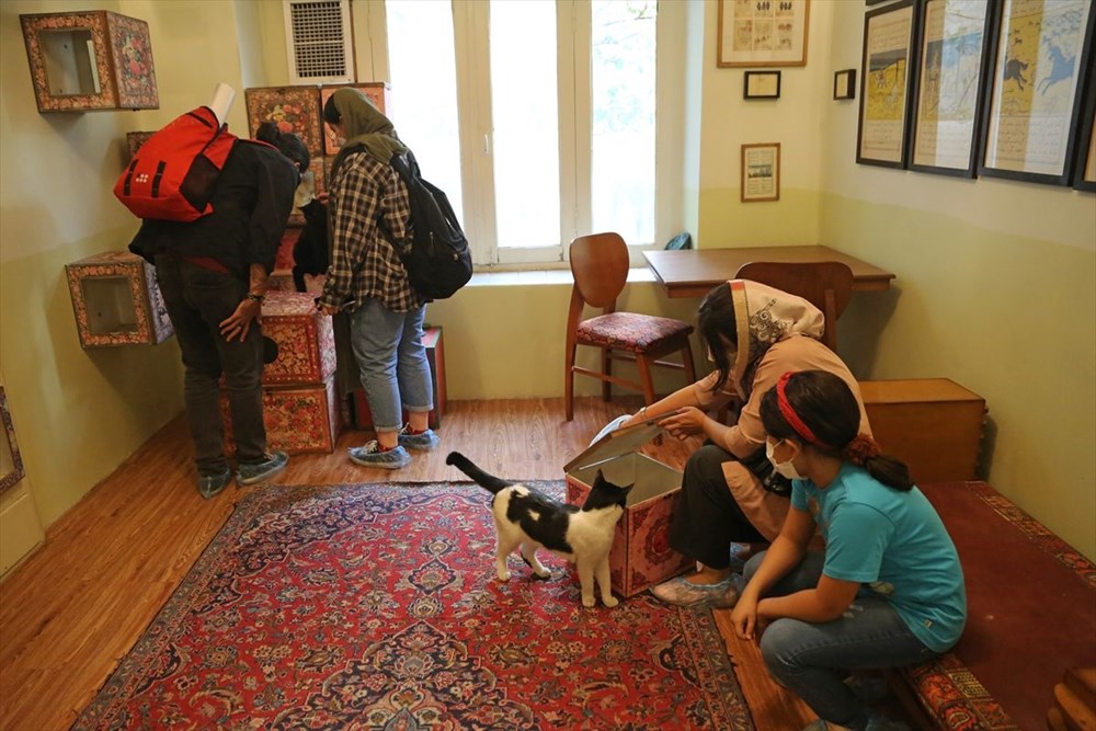 Onlarca kediye ev sahipliği yapan sıra dışı 'Kedi Müzesi' - 1