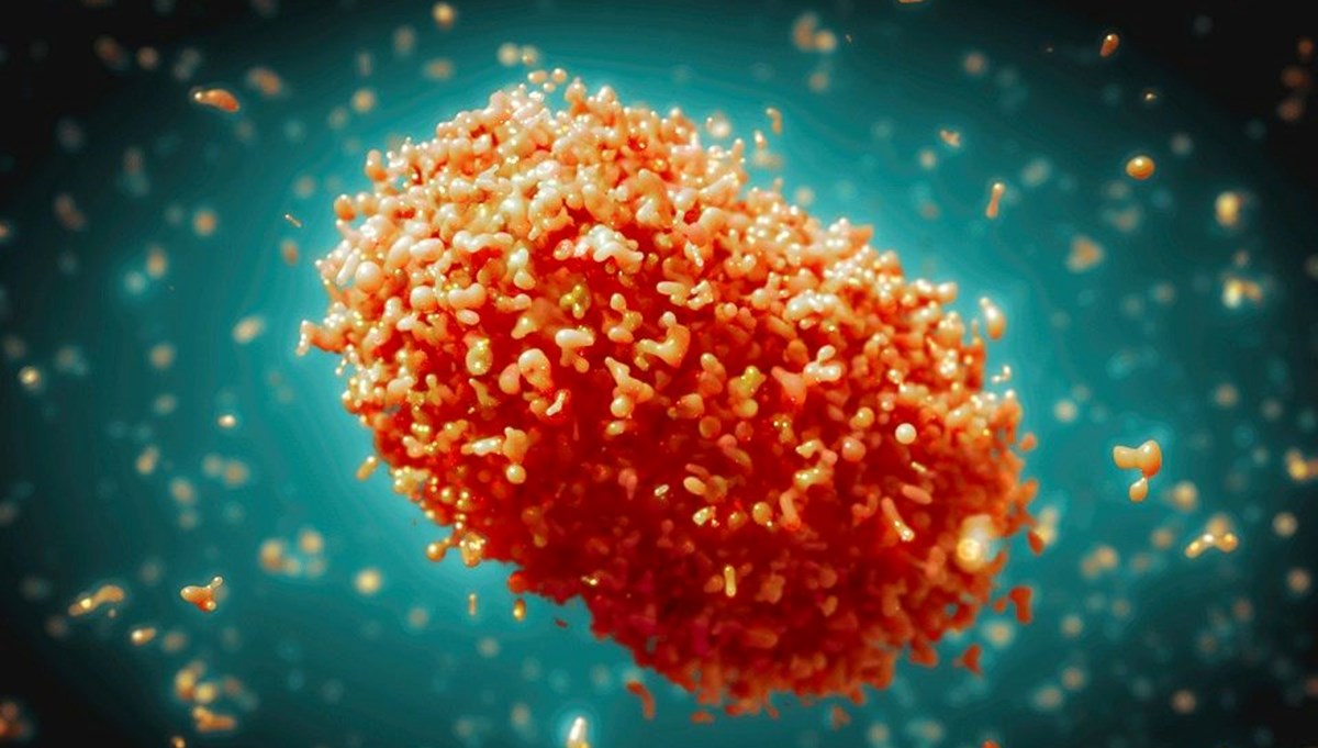 DSÖ'den M Çiçeği uyarısı