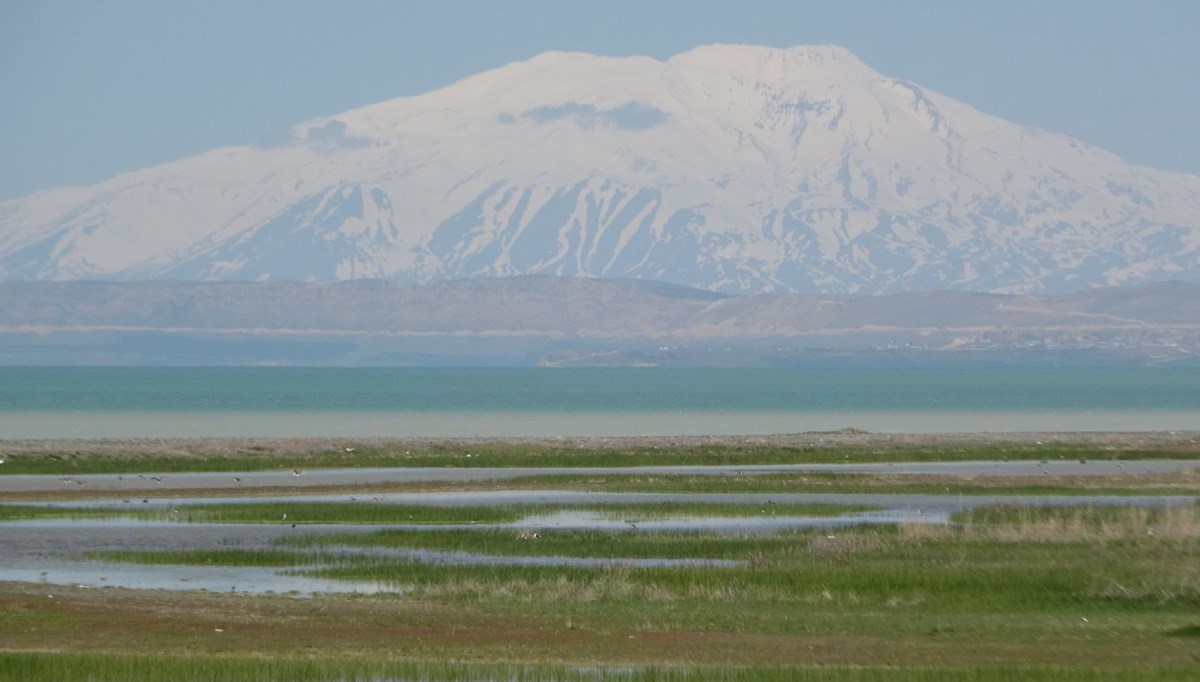 Van Gölü'nden sevindiren haber