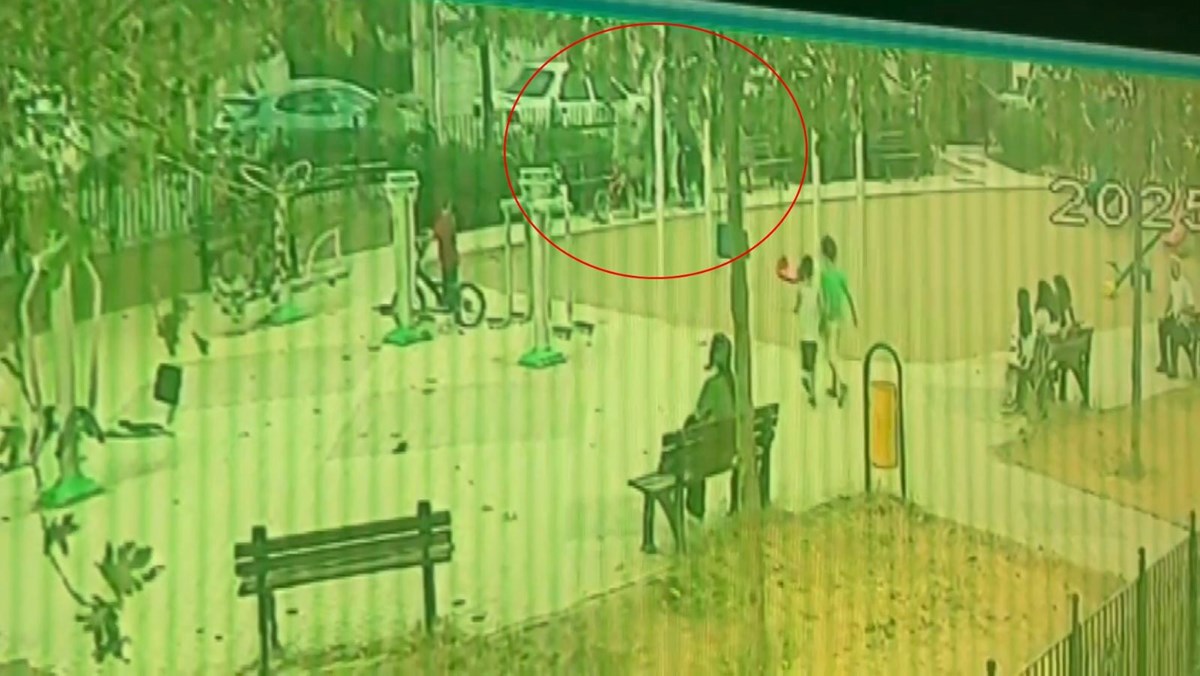 2yz8nO8GIk2ish9aRVRFrA.jpg