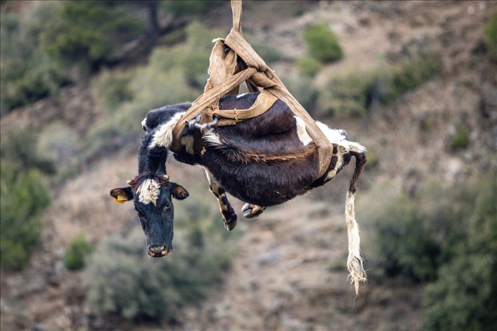 12-18 Mart 2021 haftanın fotoğrafları - 17