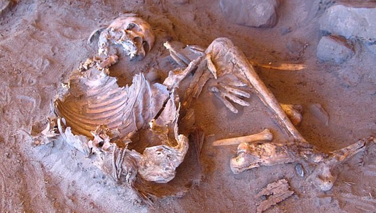 İnsanlık tarihinin soy ağacı yeniden yazılıyor!