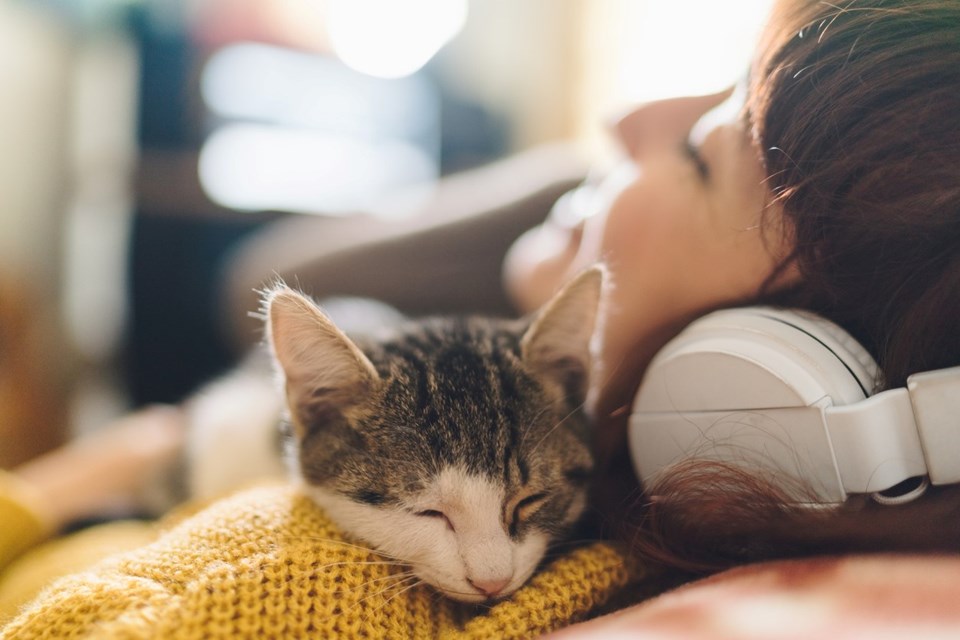 Evcil hayvanların müziğe verdiği tepkiler araştırıldı: Köpekler rock müzik seviyor - 1