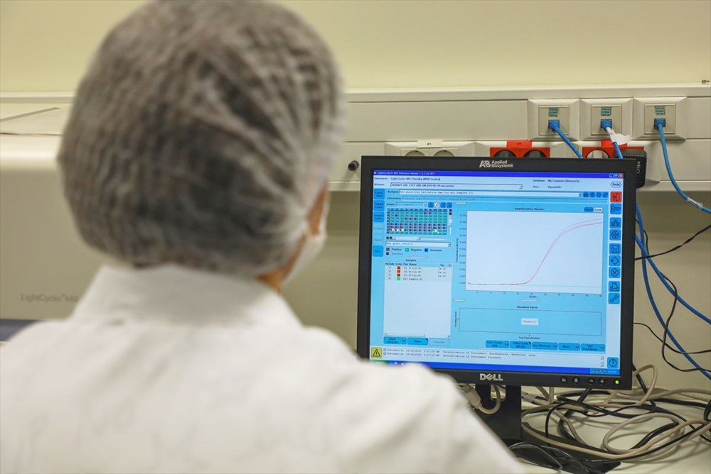 PCR testlerinde yeni dönem - 14