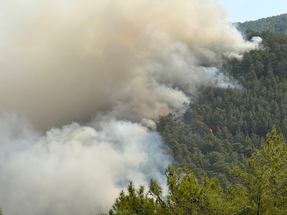 Alanya'da orman yangını: Havadan müdahale devam ediyor - 3