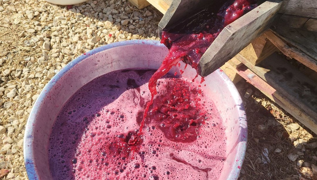 Kazanlarda 6 saat kaynatılıyor! Piyasada 1 litresi 400 TL: Adıyaman'dan Avrupa'ya ihraç ediliyor