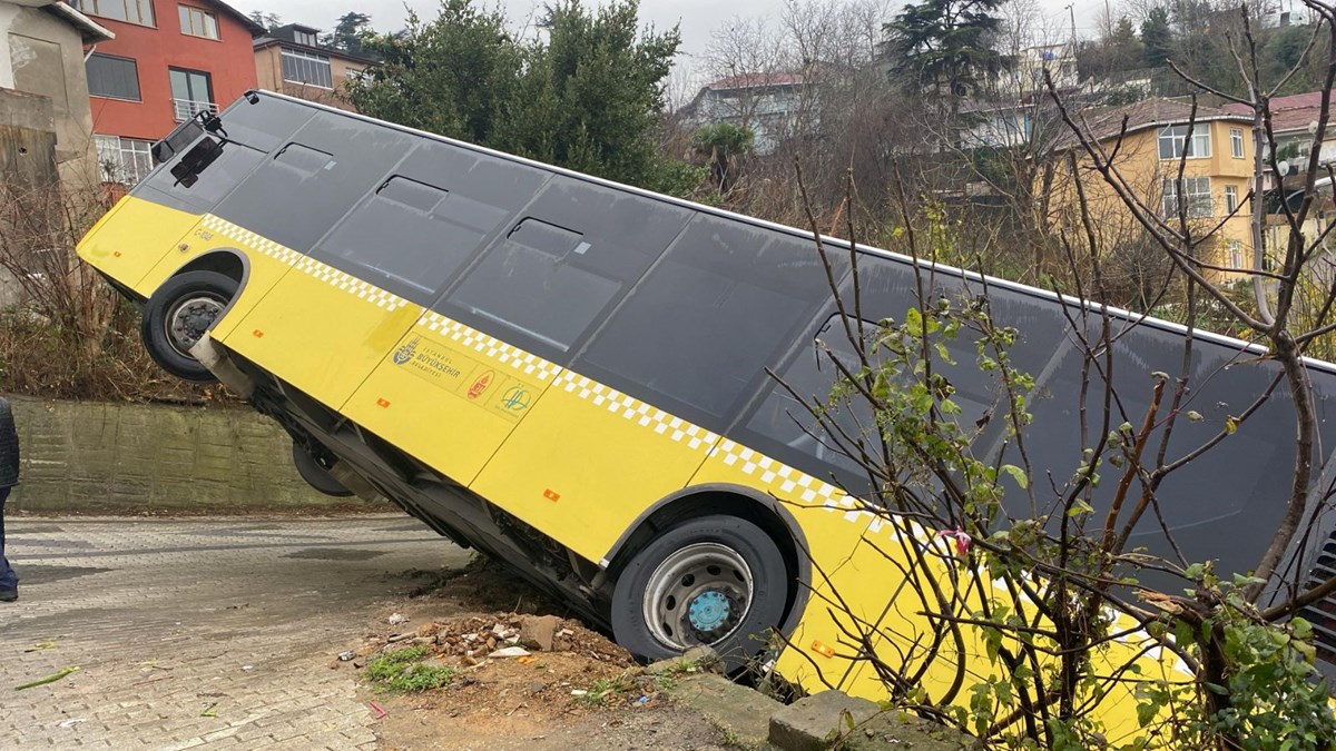 3235t7VtLUqU6xDP9UJihA.jpg