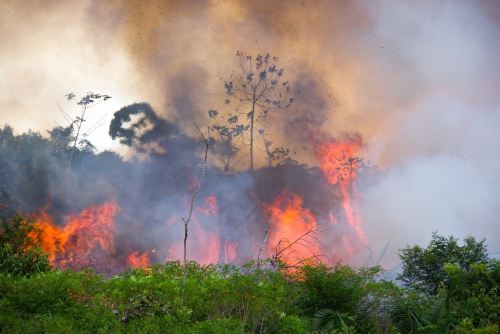 Küresel ısınma ve orman yangınları arasında nasıl bir ilişki var? - 8