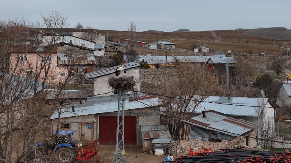 Sivas'ta Baharın Müjdecisi Leylekler, 40 Yıllık Coşkulu Bir Ritüelle Karşılanıyor 76