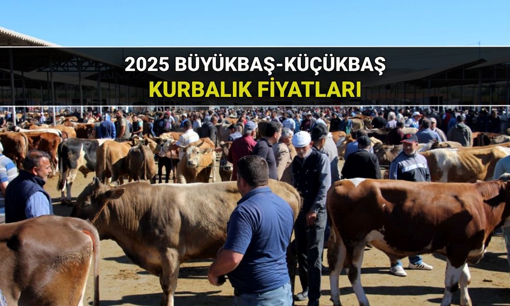 2025 Kurban fiyatları büyükbaş-küçükbaş: Kilogram ve hisseli kurbanlık fiyatı ne kadar? - 1
