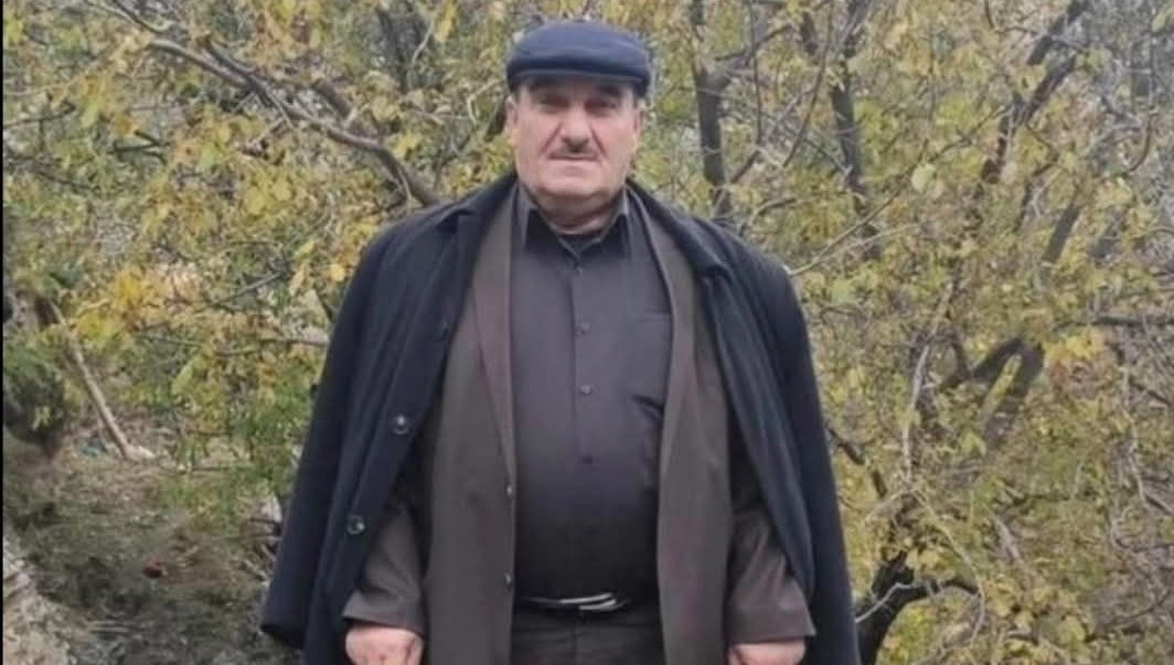 Ceviz silkelerken ağaçtan düştü