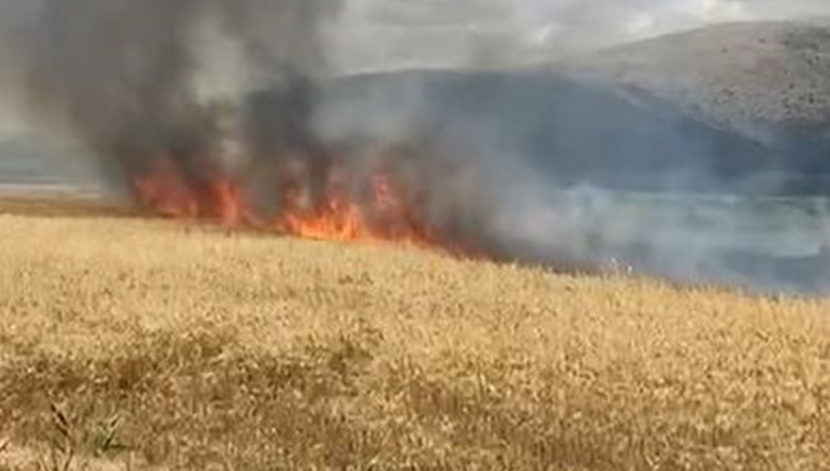 Tokat'ta ekili 10 dönüm buğday yandı