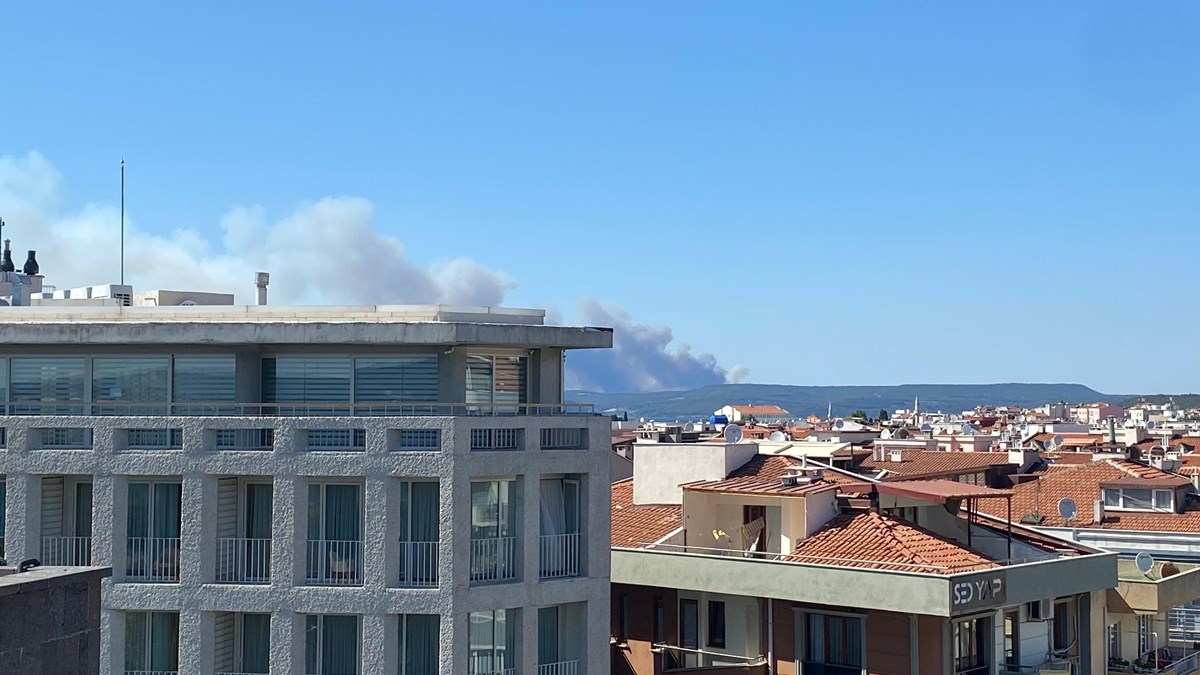 SON DAKİKA HABERİ: Çanakkale'de orman yangını | Gemi trafiği askıya alındı