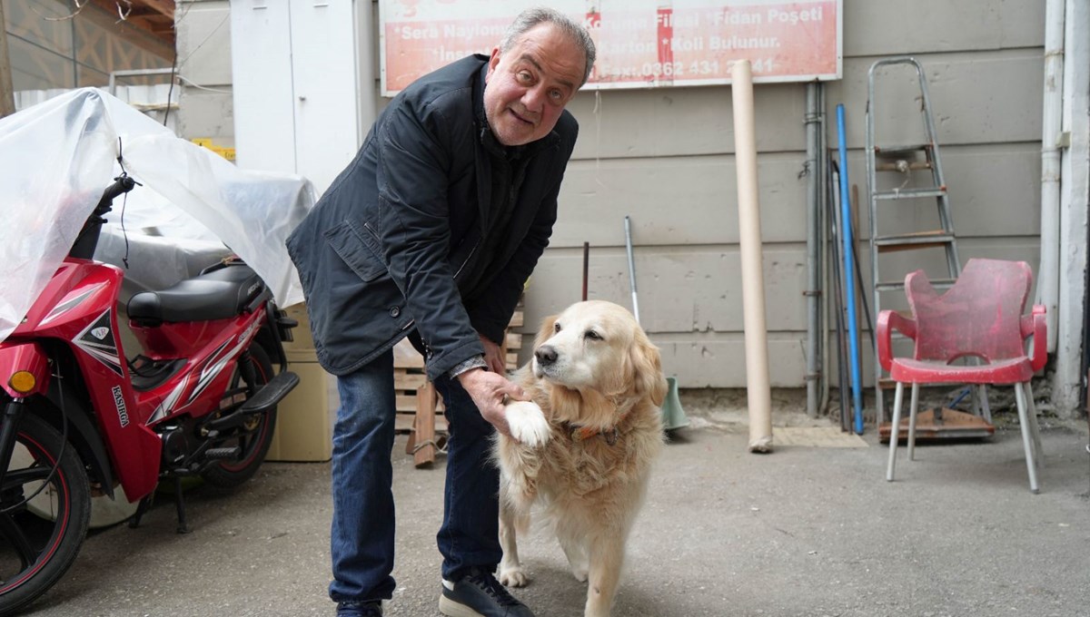 Köpeğin doktora havlaması sahibine 700 bin TL'ye patladı