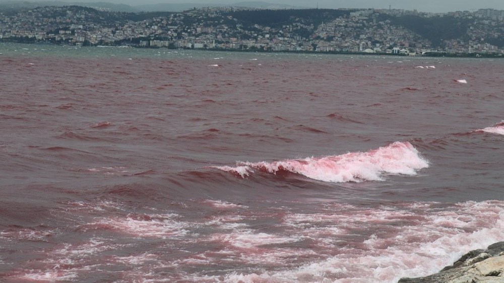 Kocaeli'de Kilez Deresi'ni atık su ile kırmızıya boyayan firmaya ceza - 12