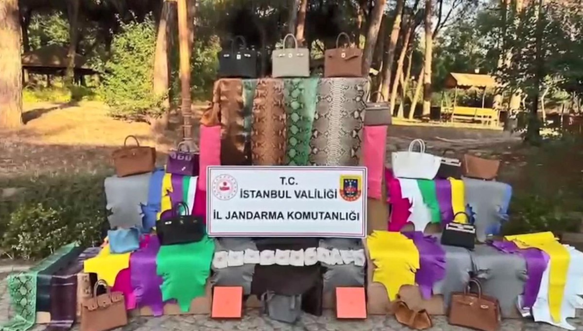 Kaçak imalathaneye baskın: Timsah, deve kuşu ve yılan derileri ele geçirildi Kaçak imalathaneye baskın: Timsah, deve kuşu ve yılan derileri ele geçirildi