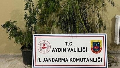 Aydın'da uyuşturucu operasyonu