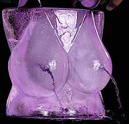 Ice Tits