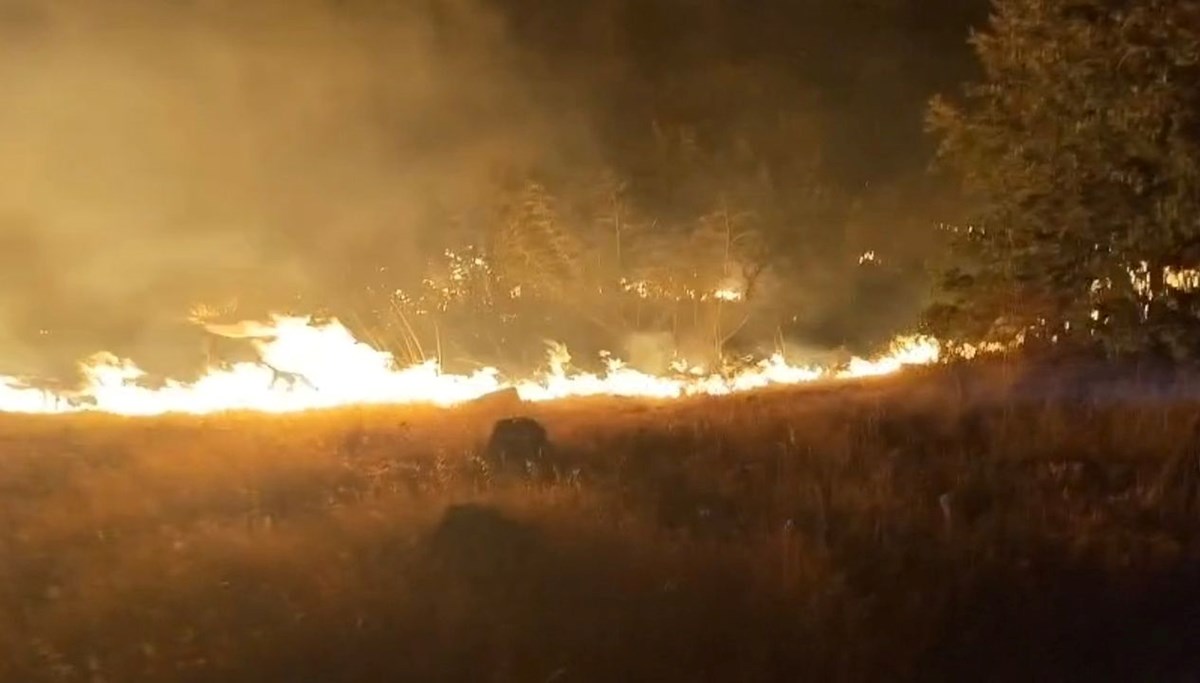 Çöplükteki yangın ağaçlara sıçradı