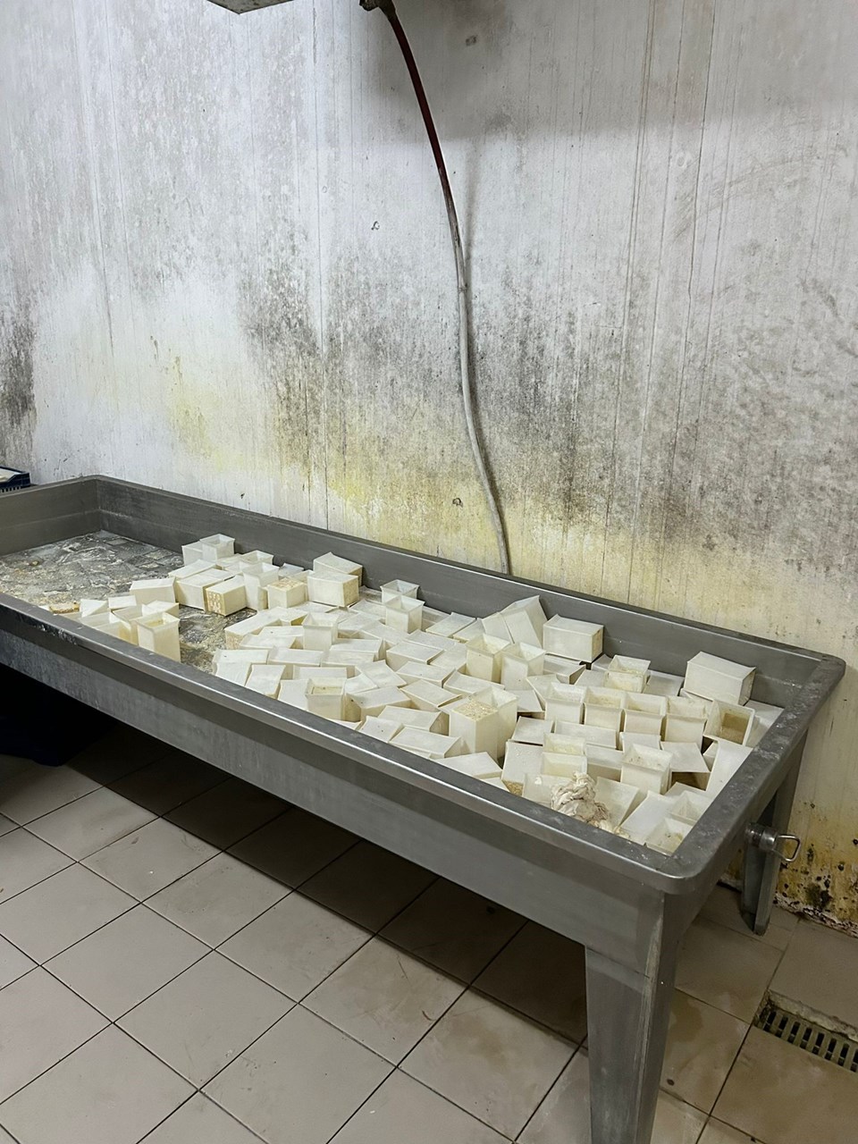 İzmir'de tüketim tarihi geçmiş yaklaşık 20 ton peynir ele geçirildi - 1