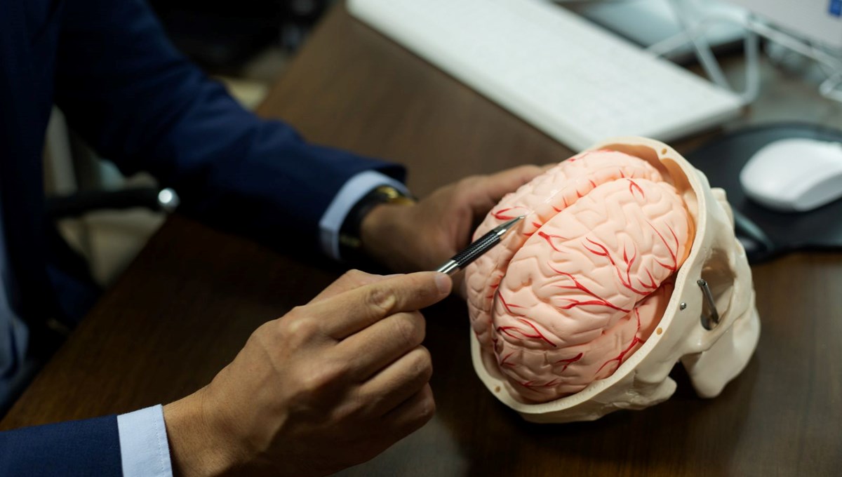 Demans riskini yüzde 40 oranında azaltan alışkanlık: 500 binden fazla kişinin verileri incelendi