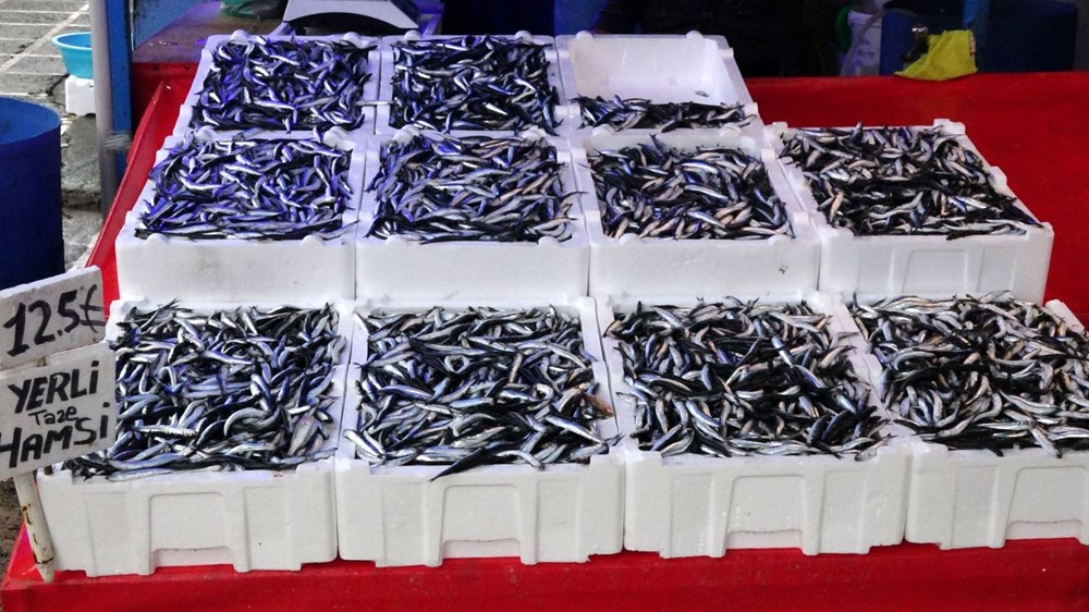 Karadeniz'de hamsi bolluğu: Fiyatlar düştü - 5