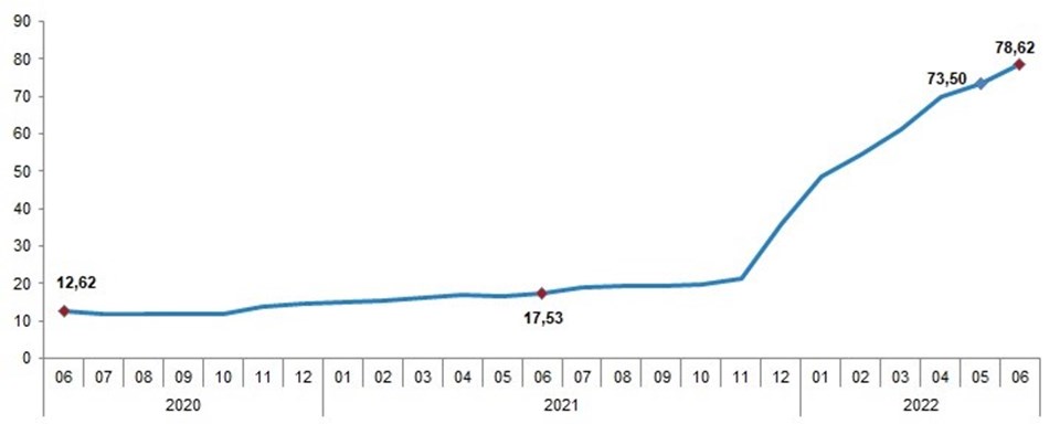 Enflasyon Kasım 2021'den beri yükselişte (Grafik: TÜİK)