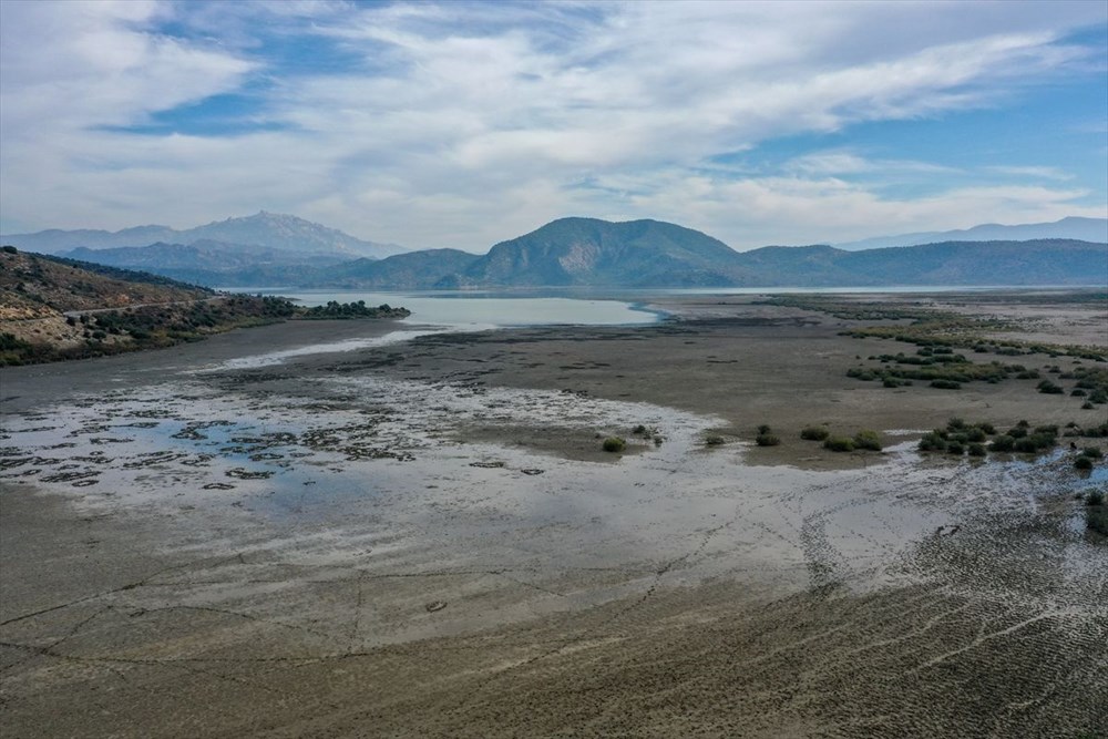 Kuş cenneti Bafa Gölü'nde korkutan görüntü - 29