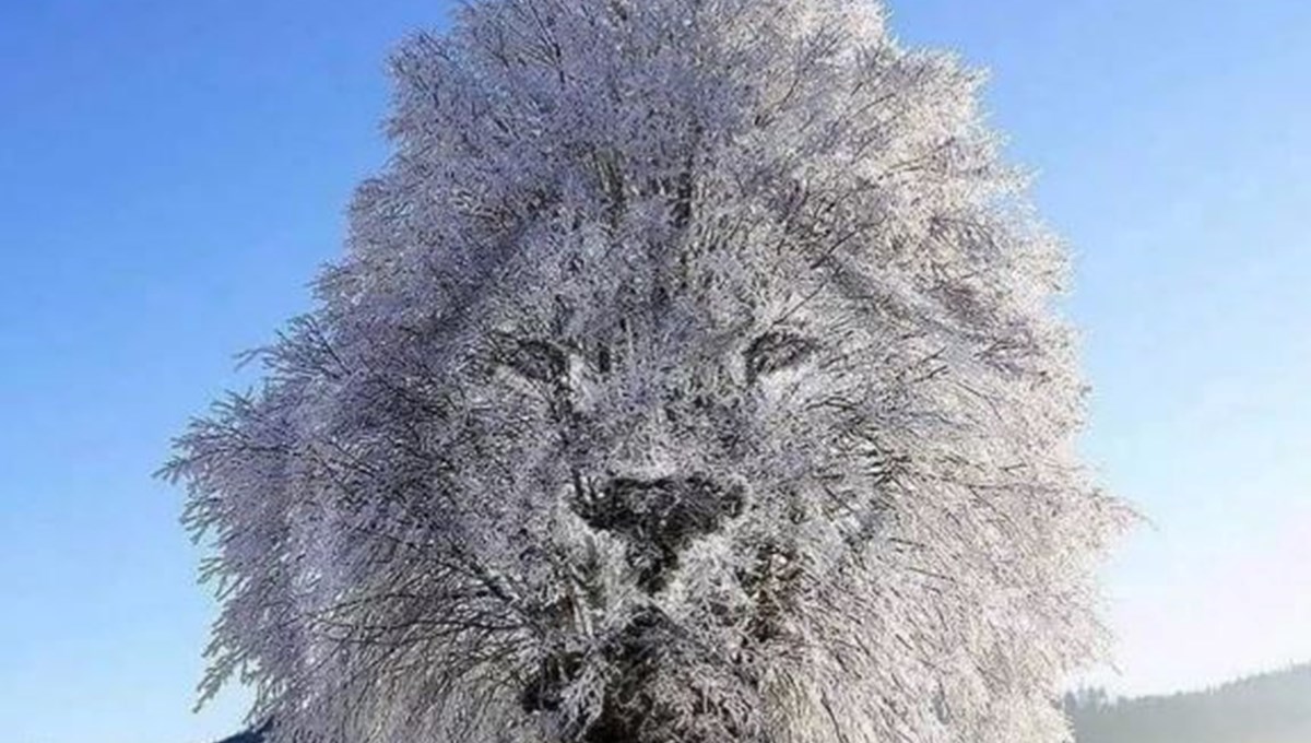 Resimde ilk gördüğünüz şey kişiliğiniz hakkında büyük ipuçları veriyor