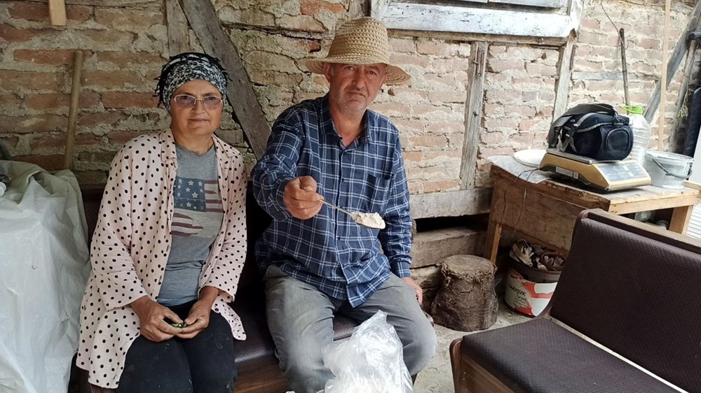 İstanbul'dan memleketlerine döndüler: 2 kardeş 10 dönümlük arazide yetiştiriyor - 2