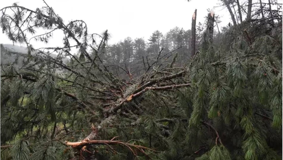 Meteoroloji'den Batı Karadeniz'in doğusu için fırtına uyarısı