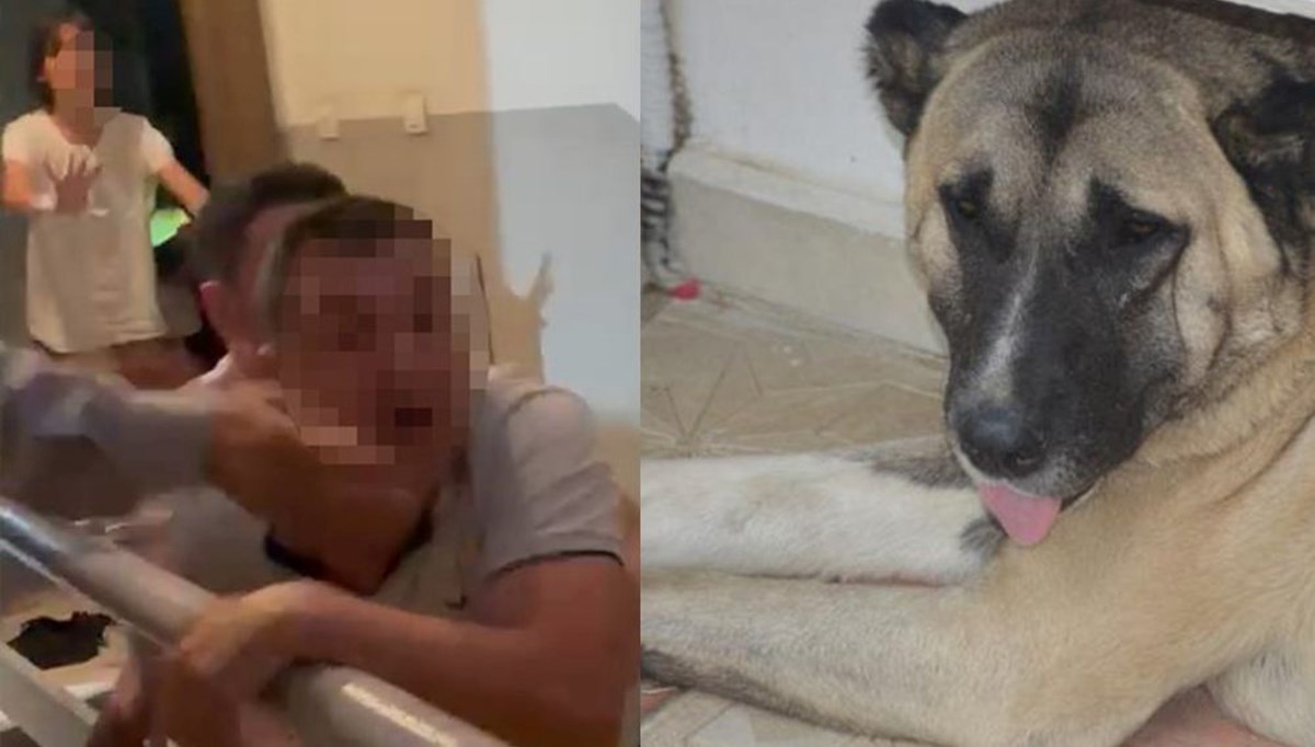 Köpeğe tekme iddiası apartmanı karıştırdı Köpeğe tekme iddiası apartmanı karıştırdı