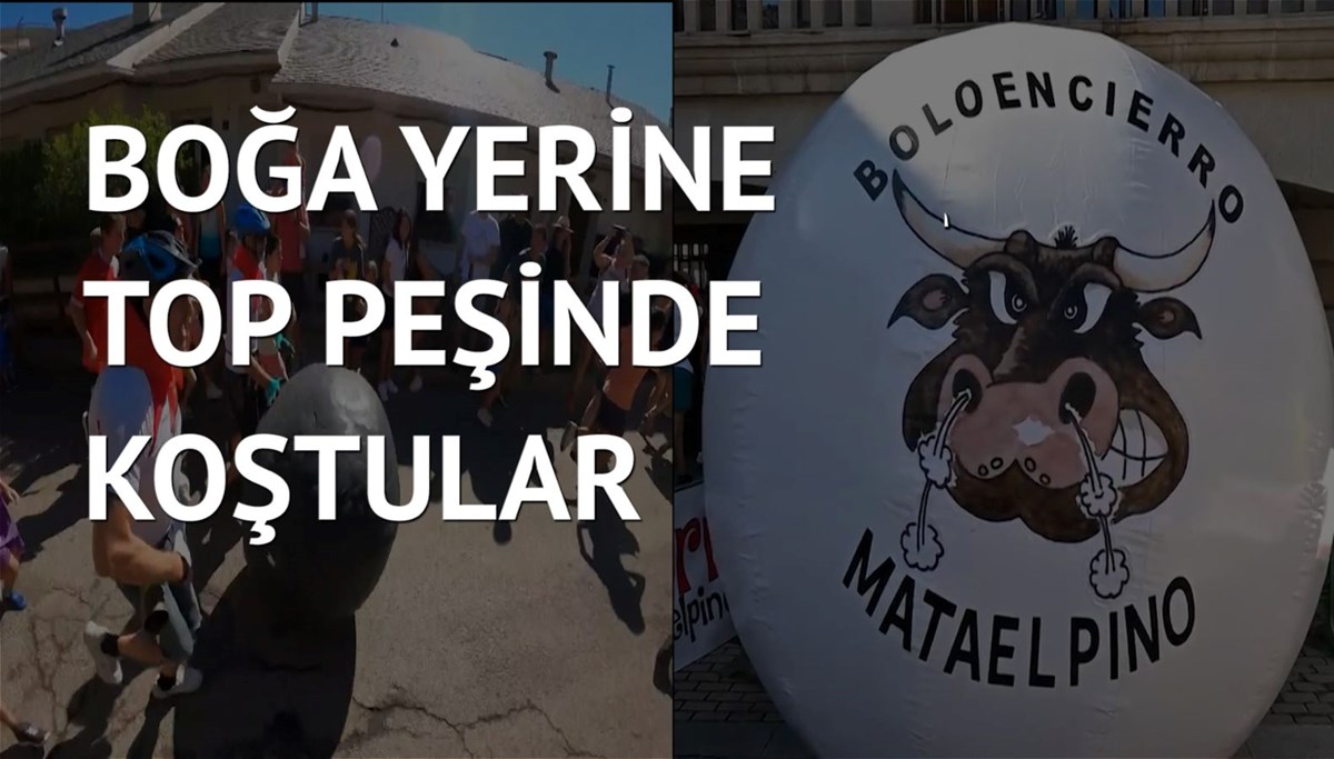 İspanya’da ‘hayvan dostu’ boğa festivali
