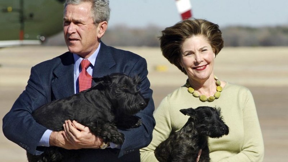 Joe Biden, Beyaz Saray’a sahiplendiği iki köpeği ile taşınacak (Beyaz