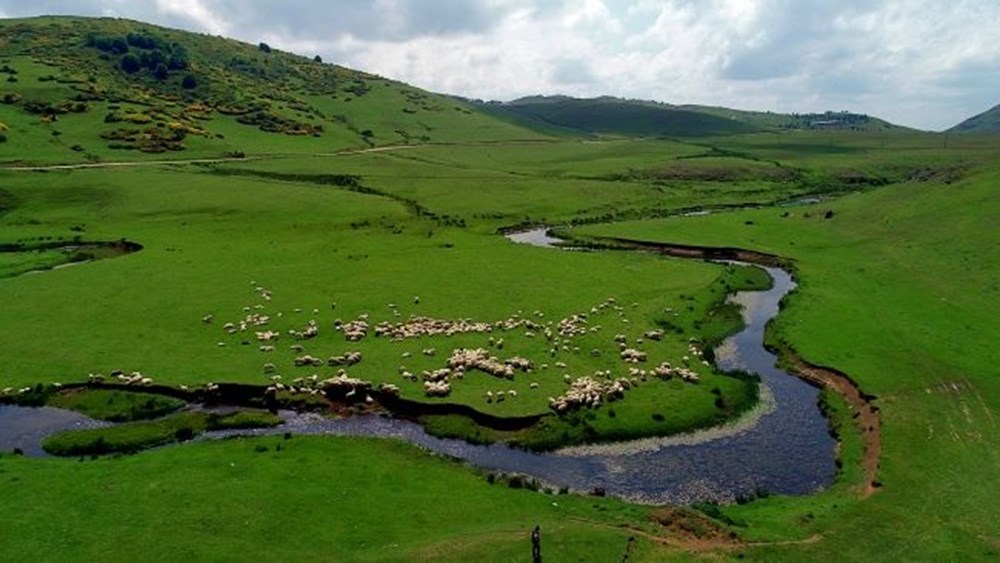 Karadeniz'in menderesleriyle ünlü Perşembe Yaylası doğaseverleri ağırlıyor - 2