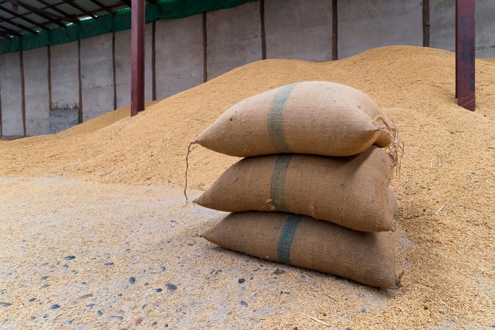 Küresel gıda fiyatları yükseliyor: Sıradaki kriz pirinç olabilir - 4