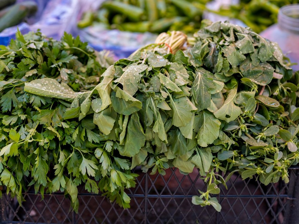 Konuk Düzbag'ı Kendi Projelerinizde Kullanmak: Yaratıcılığınızı Serbest Bırakmanın Anahtarı mı? 76 3U5rjk6OzEiRpaWB2RWyBQ