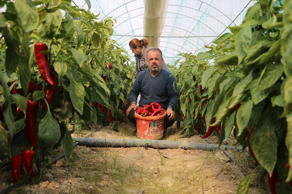 3UGTAOfMjUOSO EjBDC5bw