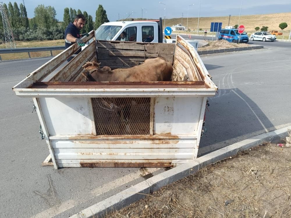 Kavşakta feci kaza: 4’ü ağır 6 yaralı - 6