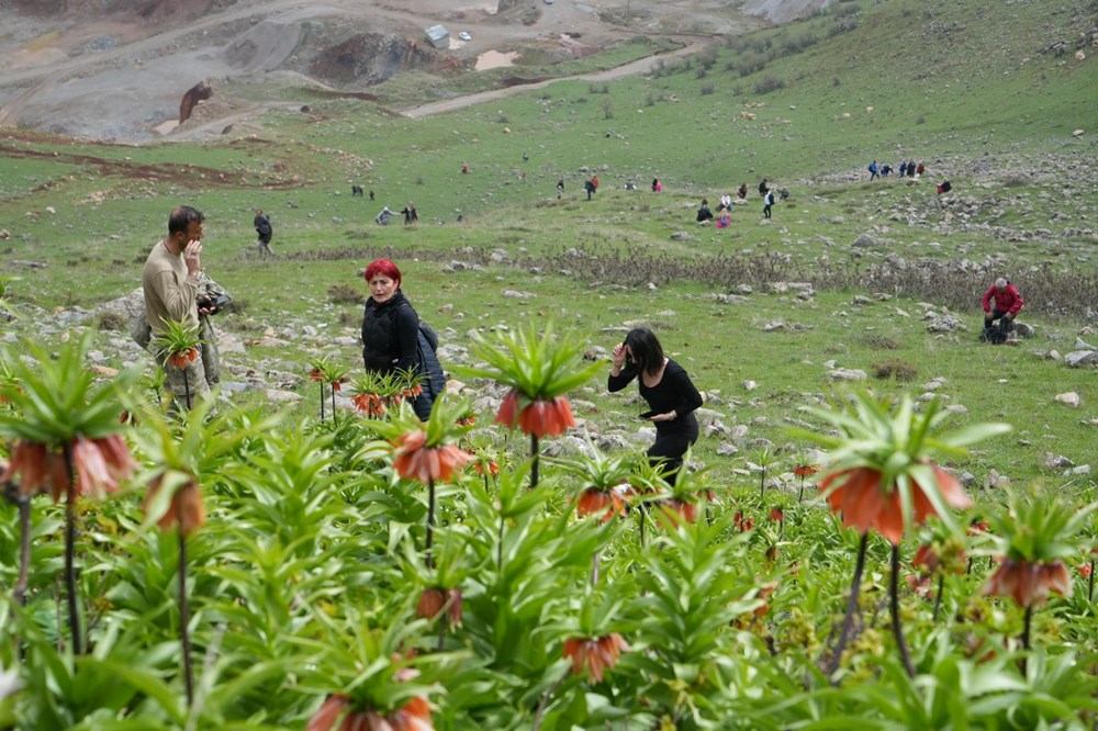 500 kilometre yol geldiler lakin dokunamadılar: Yalnızca 20 gün canlı kalıyor 76