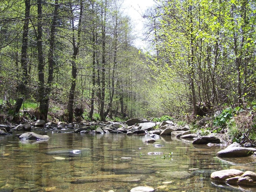 Türkiye'nin Milli Parkları (Türkiye'deki milli parkların listesi ve isimleri) - 45