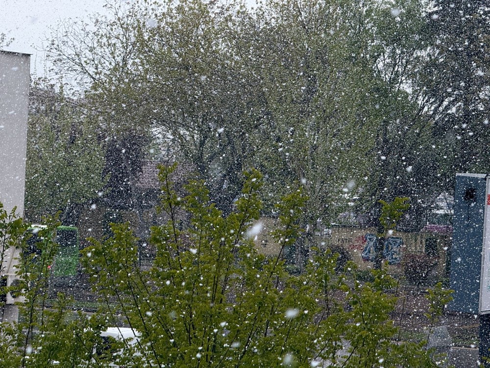 3VoUY cl80uT06Imr9tlkQ