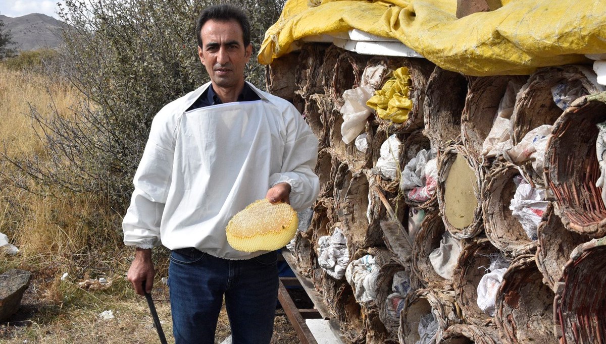 Ünü dünyanın dilinde, hasadı başladı: Türkiye'de ilk sırada