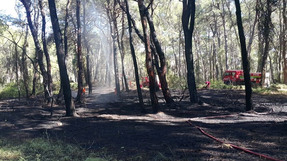 Manavgat’ta oteller bölgesine yakın noktada orman yangını - 5